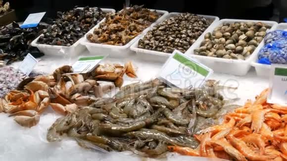 西班牙巴塞隆纳波奎利亚鱼市海鲜螃蟹龙虾鱿鱼虾小龙虾牡蛎贻贝贝壳视频的预览图