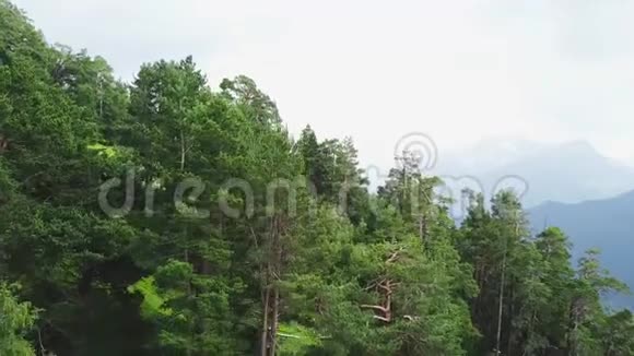 美丽的青山景观与树木高地山区森林的俯视图视频的预览图