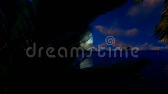 棕榈岛和飞机迎着蓝月飞行视频的预览图