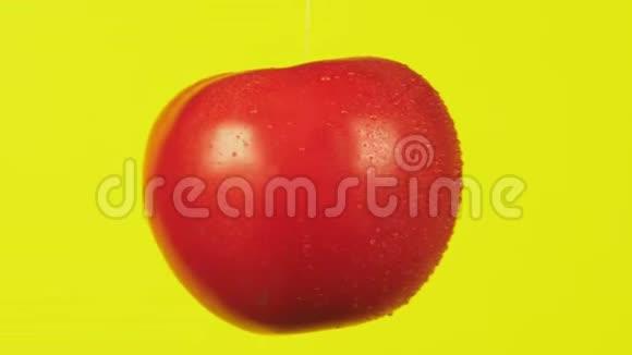新鲜的西红柿掉了一滴水营养的概念在黄色背景上分离慢动作视频的预览图