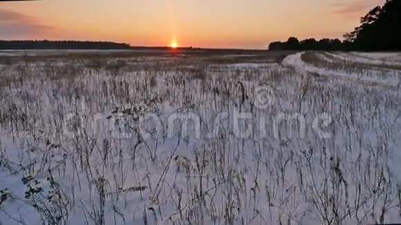 冬天的风景有雪田的干草傍晚的时候大自然太阳落山视频的预览图