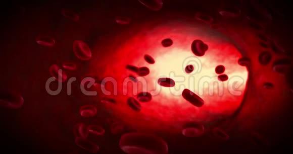 3D渲染红细胞在动脉中的动画在人体内流动医疗保健视频的预览图
