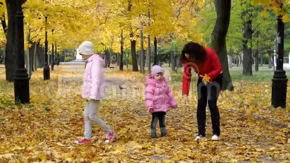 秋天公园的家人视频的预览图