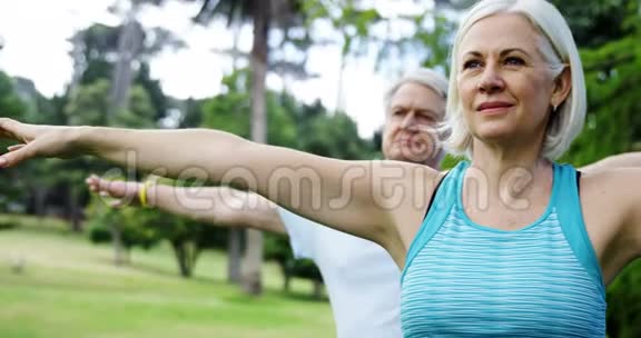 在公园里做运动的老夫妇视频的预览图