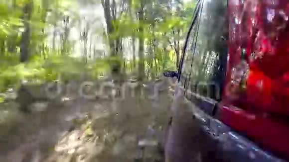 汽车在森林深处穿过乡村视频的预览图