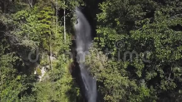 树木和河流视频的预览图