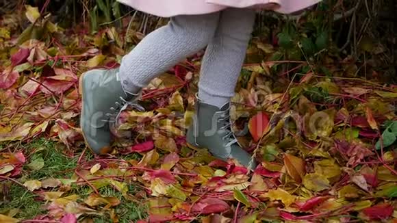 穿着粉红色外套躺在秋叶上的小女孩视频的预览图