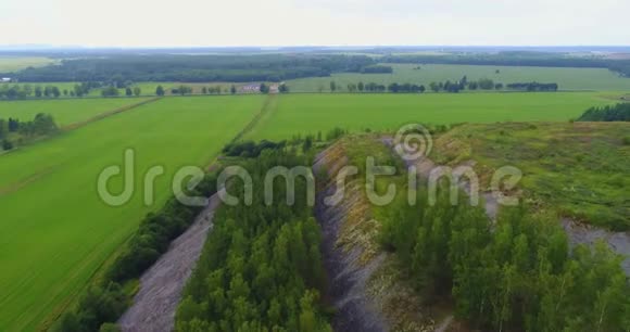 空中无人机镜头视图飞行过夏天的山与森林田野视频的预览图