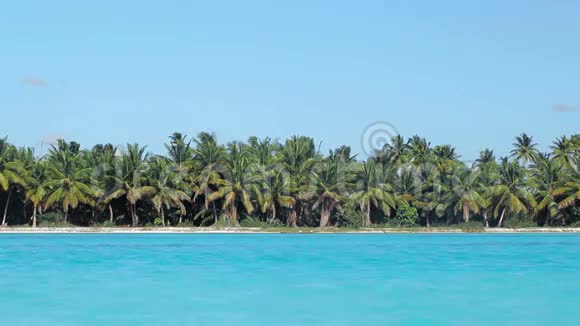 棕榈和蓝海的热带景色视频的预览图