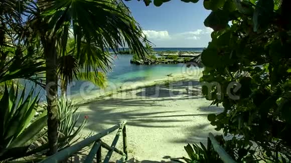 从墨西哥玛雅里维埃拉港Aventuras海滩的棕榈树和植被拍摄的画面视频的预览图