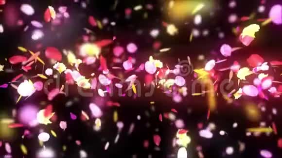 五颜六色的花瓣正在飘落春花背景循环动画很亮的花瓣视频的预览图