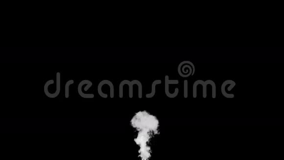 白烟放在黑色背景下视频的预览图