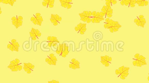 用黄色秋天的枫叶做动画视频的预览图