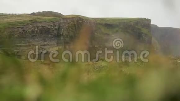 爱尔兰的摩尔悬崖视频的预览图