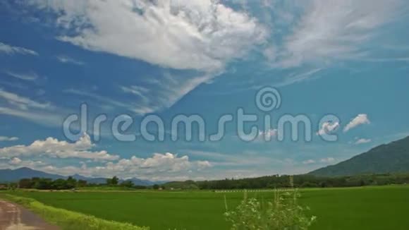 摄像机沿着道路移动穿过稻田对着天空视频的预览图