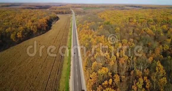 日落时秋林路鸟瞰令人惊叹的乡村道路景观红色和橙色叶子的树木视频的预览图