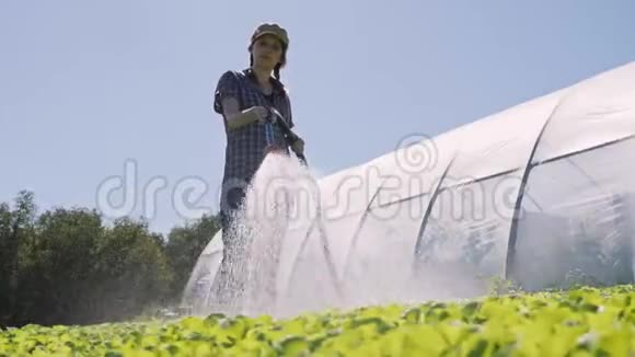 漂亮的农民在温室附近的田野上灌溉绿色的幼苗视频的预览图