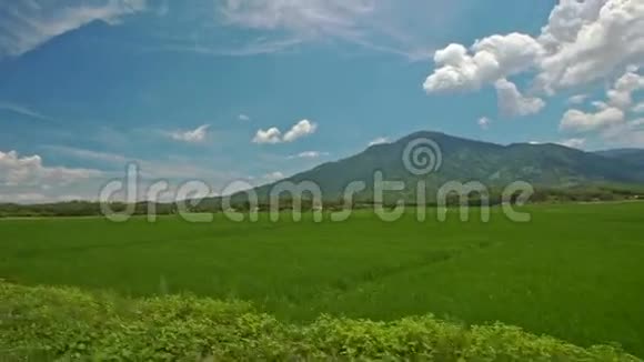摄像机沿着道路移动穿过稻田对着天空视频的预览图