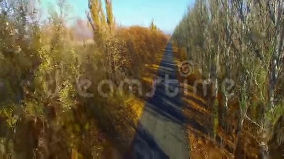 秋天的路航空测量视频的预览图