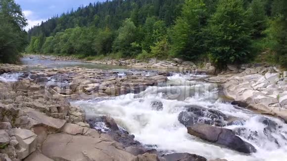 山河流经绿色森林视频的预览图