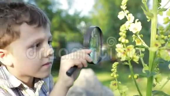 快乐的小男孩探索自然视频的预览图