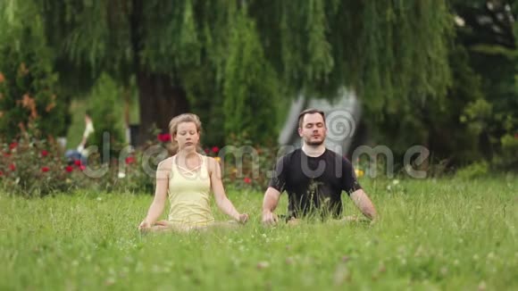 一男一女静心极乐年轻的瑜伽教练在绿草如茵的城市公园练习视频的预览图