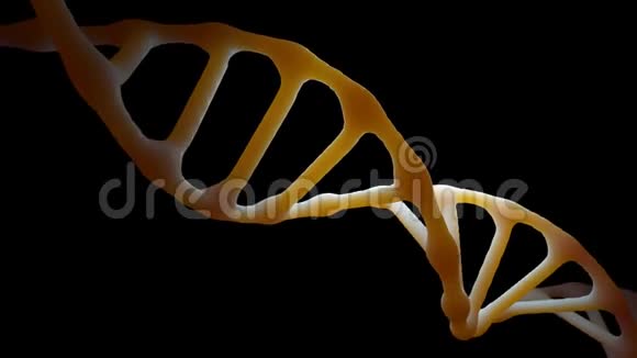 巴布亚新几内亚阿尔法有机DNA动画视频的预览图