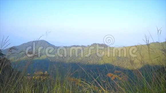 PhuSoidao国家公园山上的草和树视频的预览图