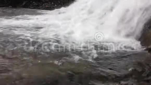 水流淡水背景视频的预览图