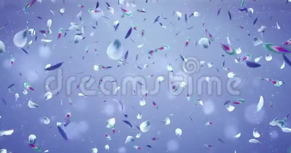 浪漫紫罗兰蓝绿花花瓣飞光背景回路4k视频的预览图