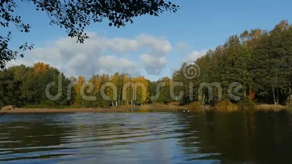 秋天美丽的河流景观视频的预览图