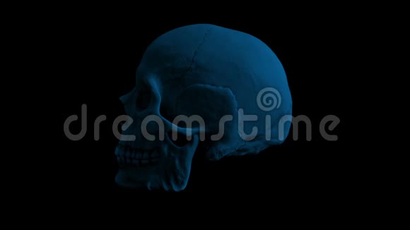 人类头骨在黑暗循环中旋转视频的预览图