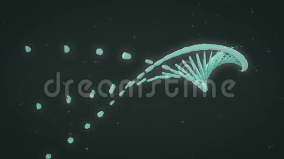 DNA螺旋进化视频的预览图