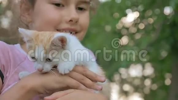 深褐色头发的女孩抱着小猫抱着她的猫爱在户外视频的预览图