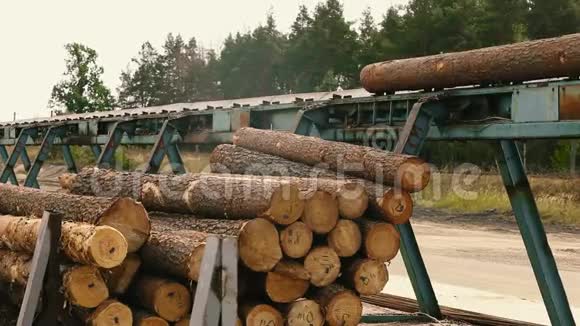 一家木工厂的原木传送带生产木制木材视频的预览图