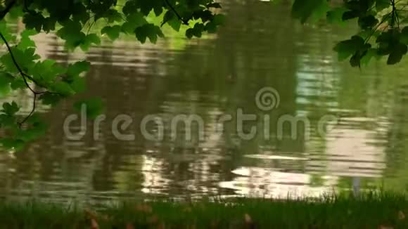 大自然中的绿色湖水视频的预览图