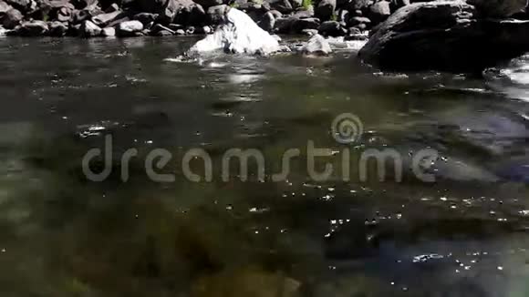 俄罗斯阿尔泰山河视频的预览图