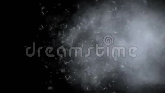 烟雾背景下飞行的蒲公英柳絮视频的预览图