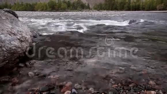 俄罗斯阿尔泰山河视频的预览图