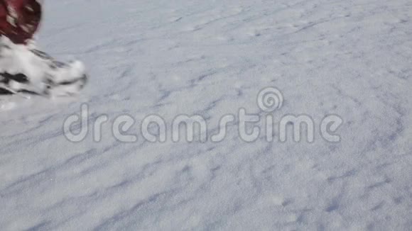 在雪地里行走视频的预览图