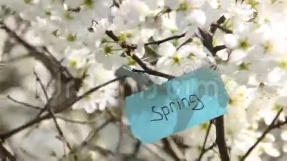 春天的标签和白色的花朵在春天阳光明媚的日子里视频的预览图