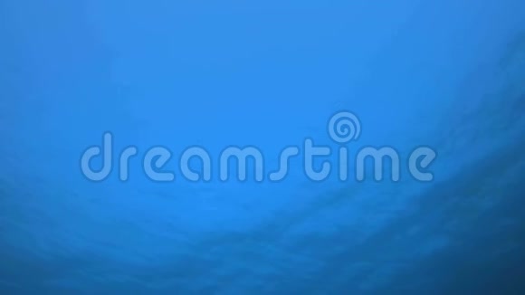水下蓝色背景视频的预览图
