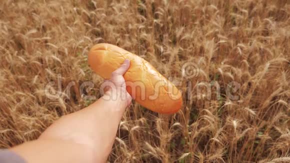 农夫持面包第一人称观人在麦田里拿着一条面包慢动作视频成功成功成功视频的预览图
