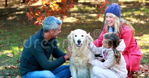一家人和他们的狗坐在公园里视频的预览图