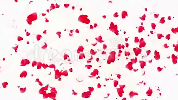 心脏的花瓣视频的预览图