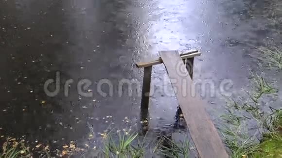 池塘背景上的夏雨视频的预览图
