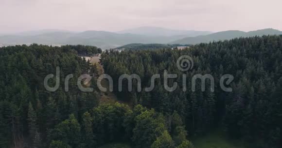 在小山镇房屋旁边的松树林上缓慢移动的空中射击视频的预览图