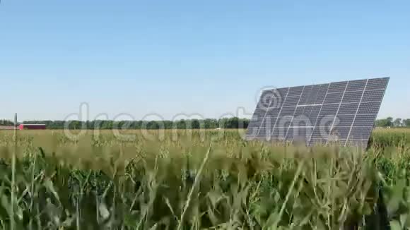 延时太阳能电池板在玉米地跟踪太阳视频的预览图