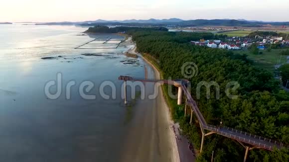 韩国亚洲中昌南都张江松林山森林度假村的空中步道视频的预览图