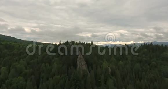 从森林山脉上空飞行视频的预览图
